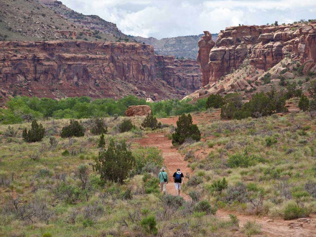 Couple Hiking