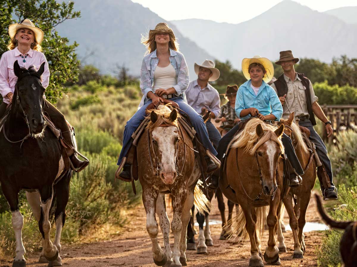 Family Riding Horses