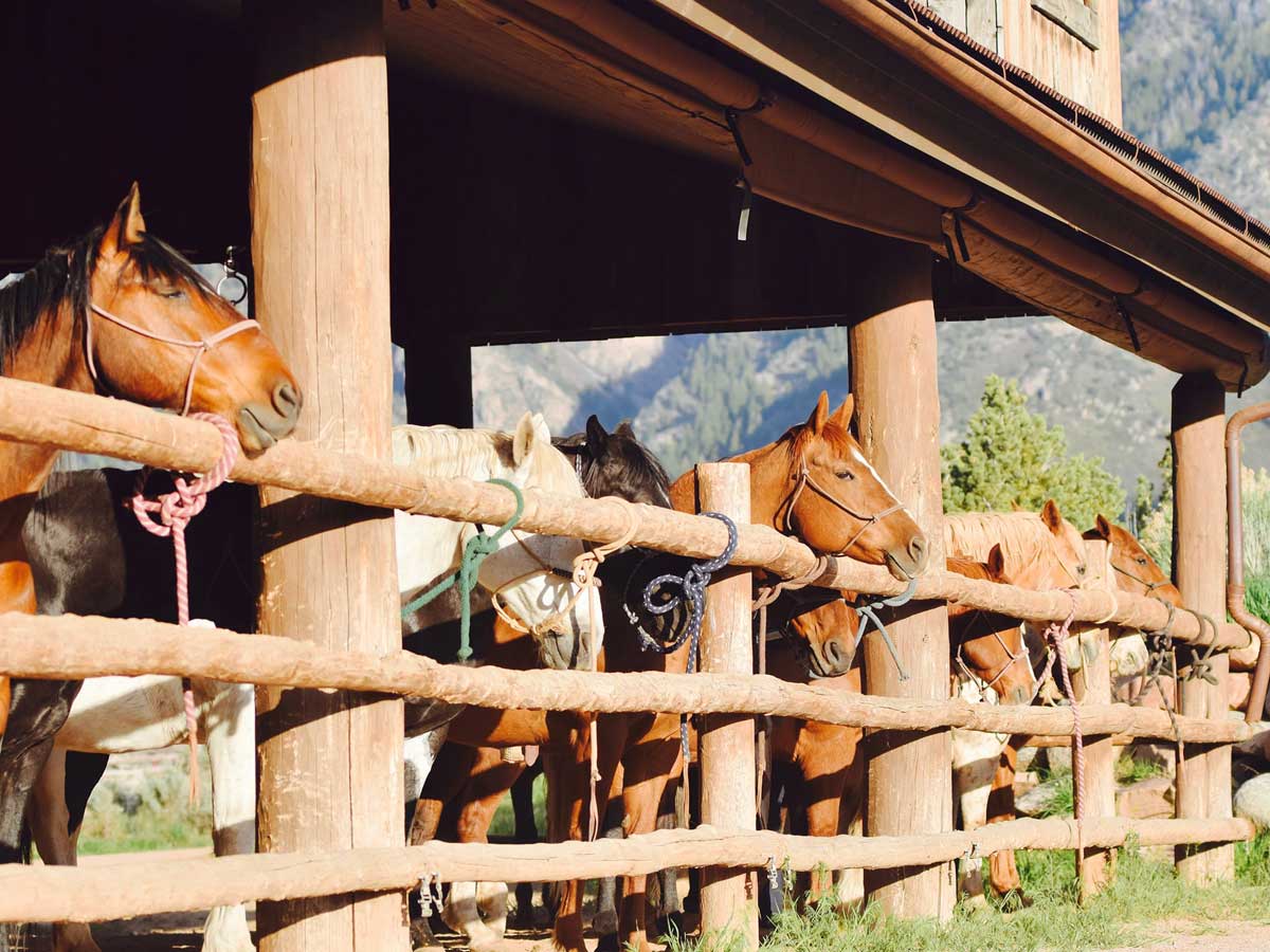 horse stable near Gateway Canyons Resort